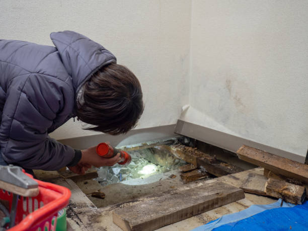 Best Indoor Air Quality Assessment  in Graton, CA