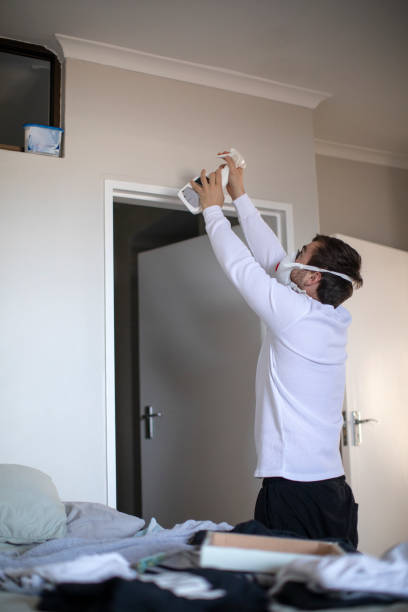 Best Black Mold Removal  in Graton, CA