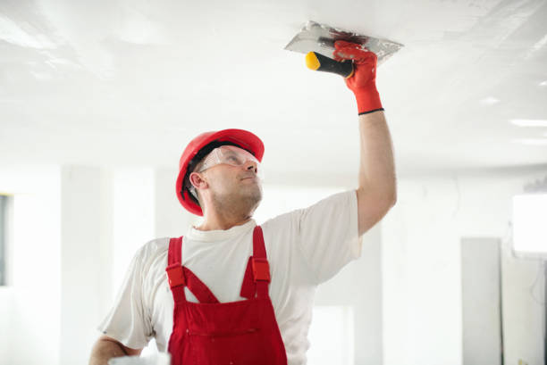 Best Mold Damage Restoration  in Graton, CA
