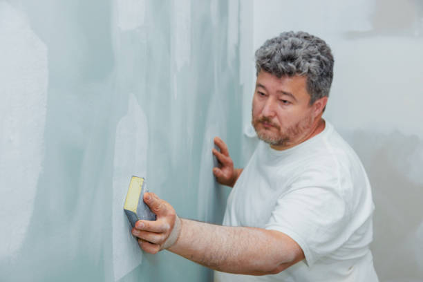 Best Basement Mold Removal  in Graton, CA