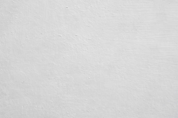  Graton, CA Mold Removal Pros