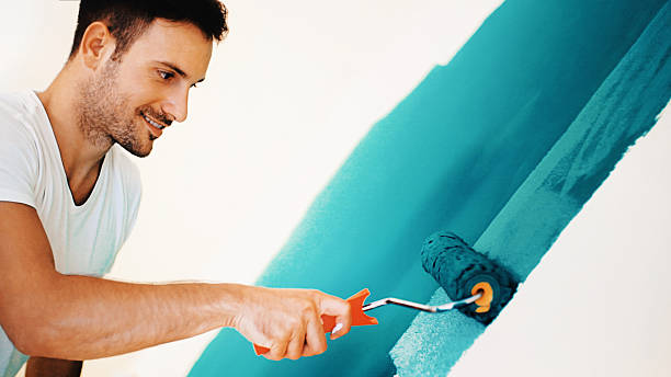 Best Environmental Consulting for Mold Prevention  in Graton, CA