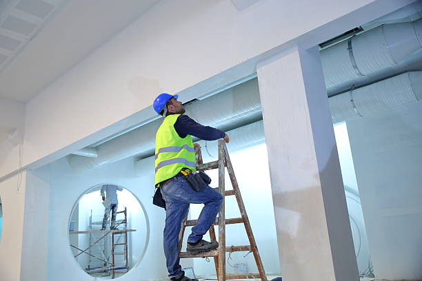 Best Commercial Mold Inspection  in Graton, CA